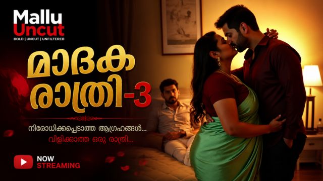 മാദക രാത്രി-3
